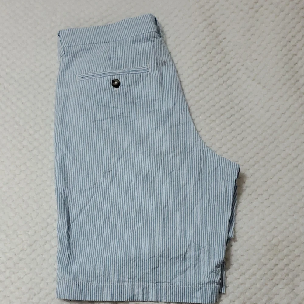 Vineyard Vines Light Blue Striped Flat Front Shorts - Picture 5 of 7